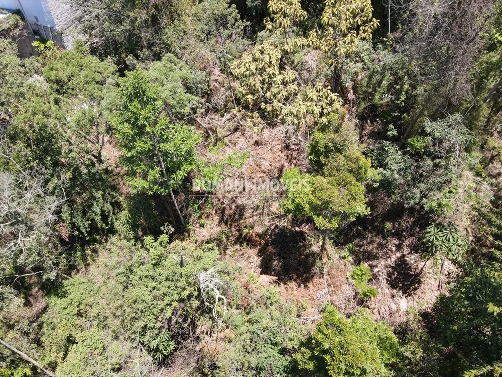 Terreno, 3540 m² - Foto 4