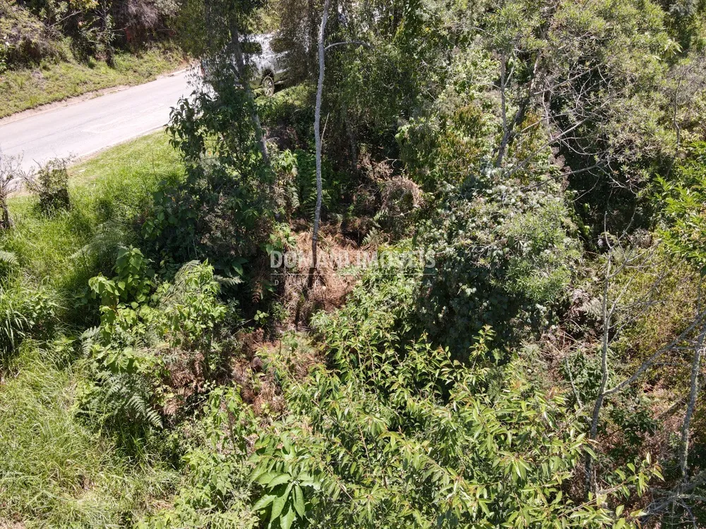 Terreno, 3540 m² - Foto 7