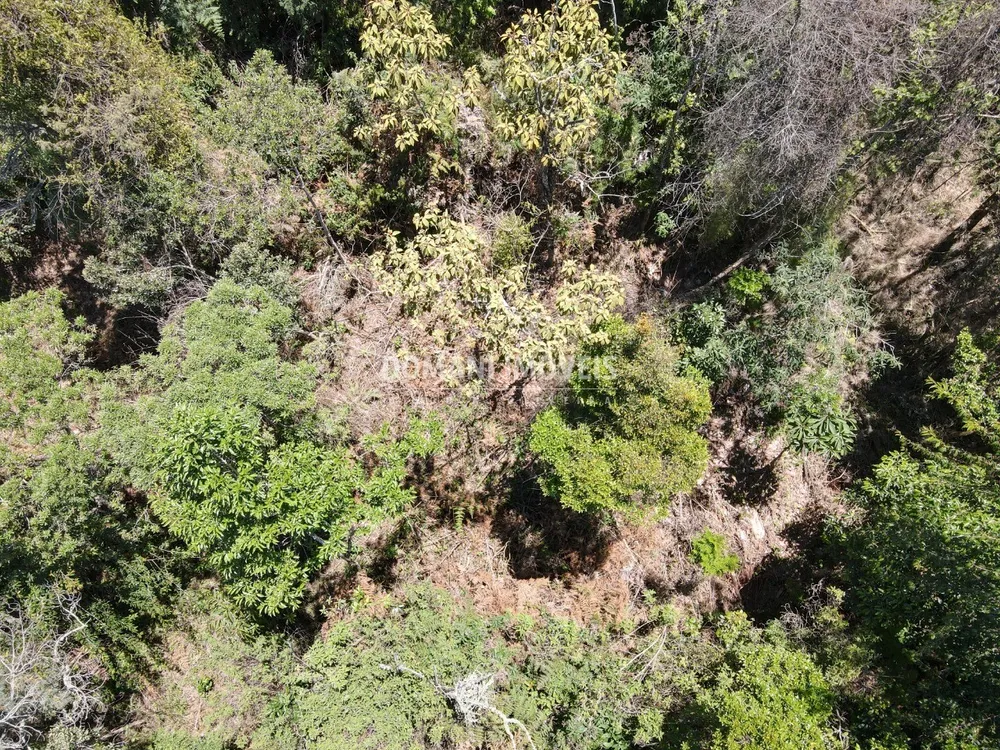 Terreno, 3540 m² - Foto 3
