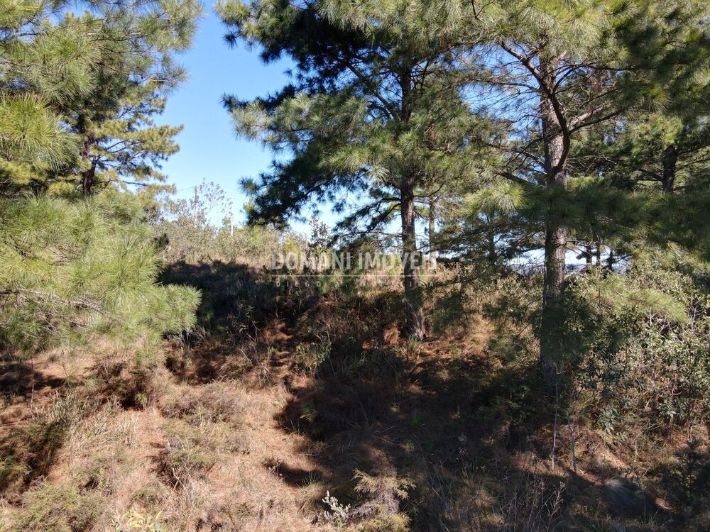 Terreno, 1030 m² - Foto 5