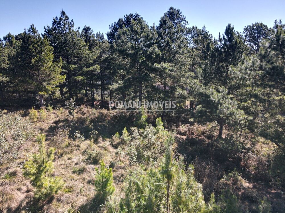 Terreno, 1030 m² - Foto 8