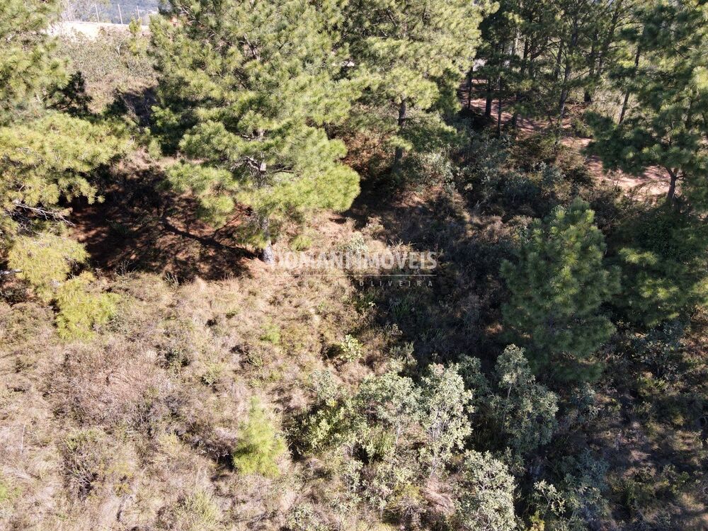 Terreno, 1030 m² - Foto 6