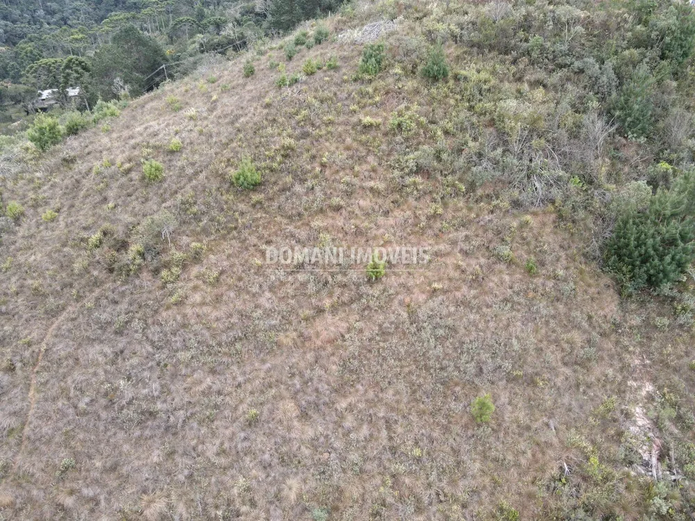 Terreno, 3690 m² - Foto 3