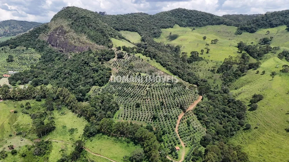 Fazenda, 6 quartos - Foto 3