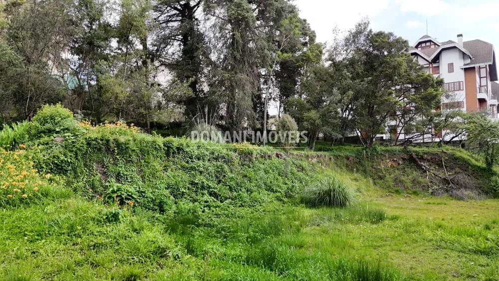 Loteamento e Condomínio, 2540 m² - Foto 6