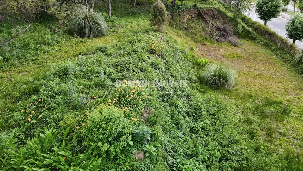 Loteamento e Condomínio, 2540 m² - Foto 8