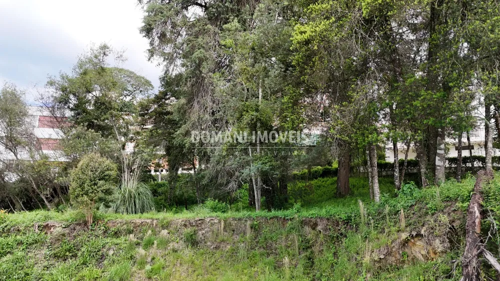 Loteamento e Condomínio, 2540 m² - Foto 7