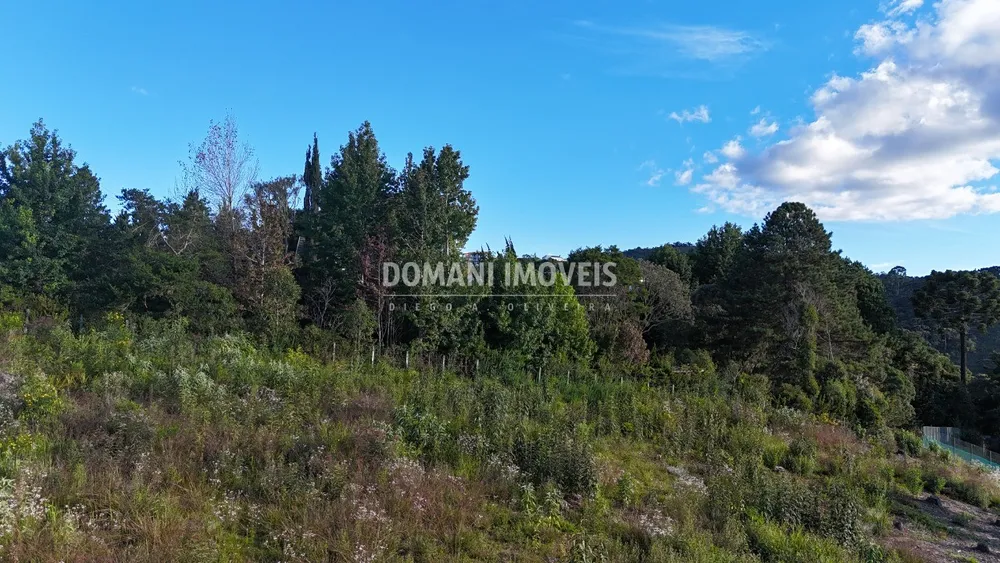 Terreno, 2800 m² - Foto 7