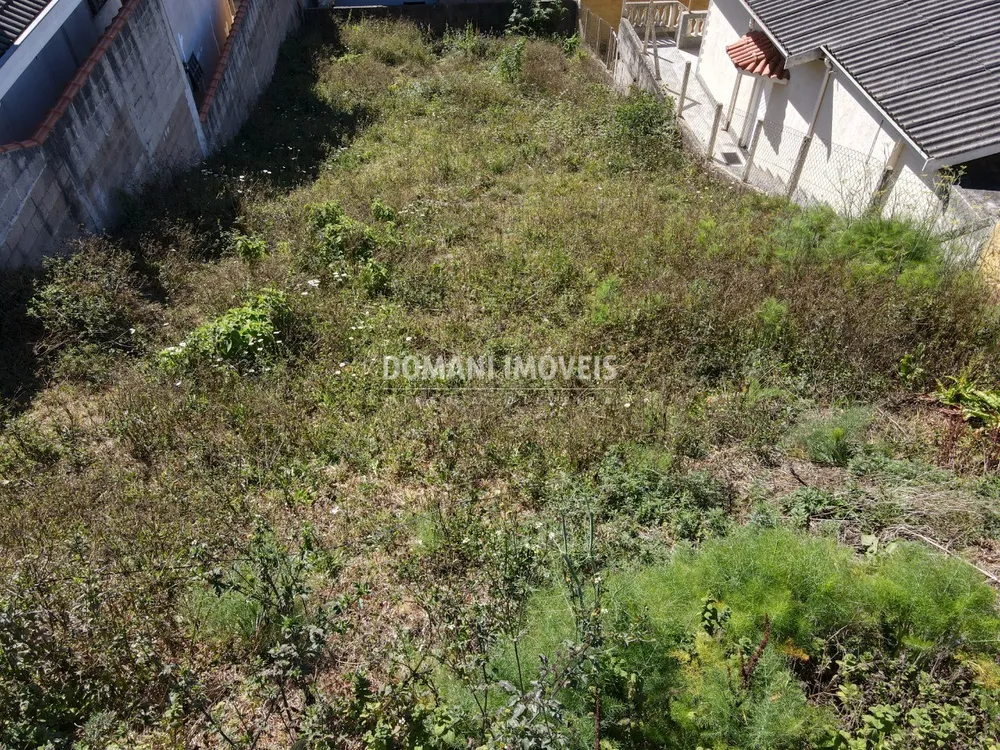 Terreno, 250 m² - Foto 8