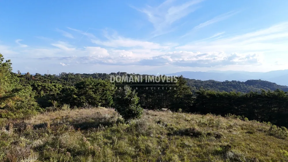 Terreno, 3450 m² - Foto 6