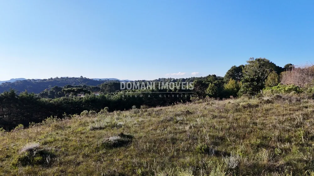 Terreno, 3450 m² - Foto 3