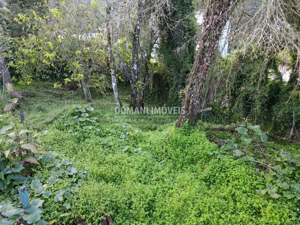 Terreno, 740 m² - Foto 3
