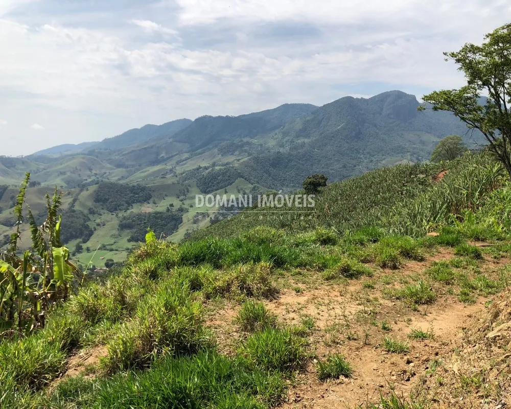 Terreno, 3 hectares - Foto 1