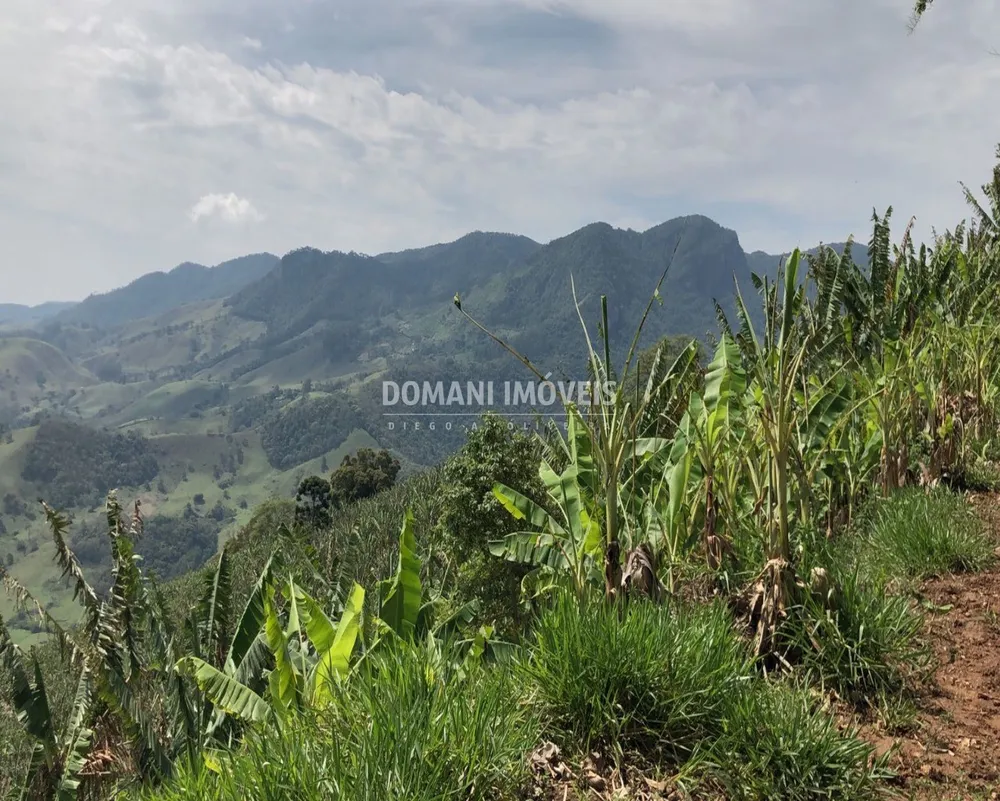 Terreno, 3 hectares - Foto 6