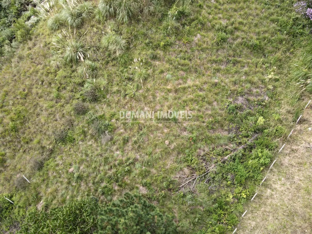Terreno, 1180 m² - Foto 6