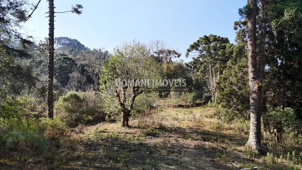 Terreno - Foto 16