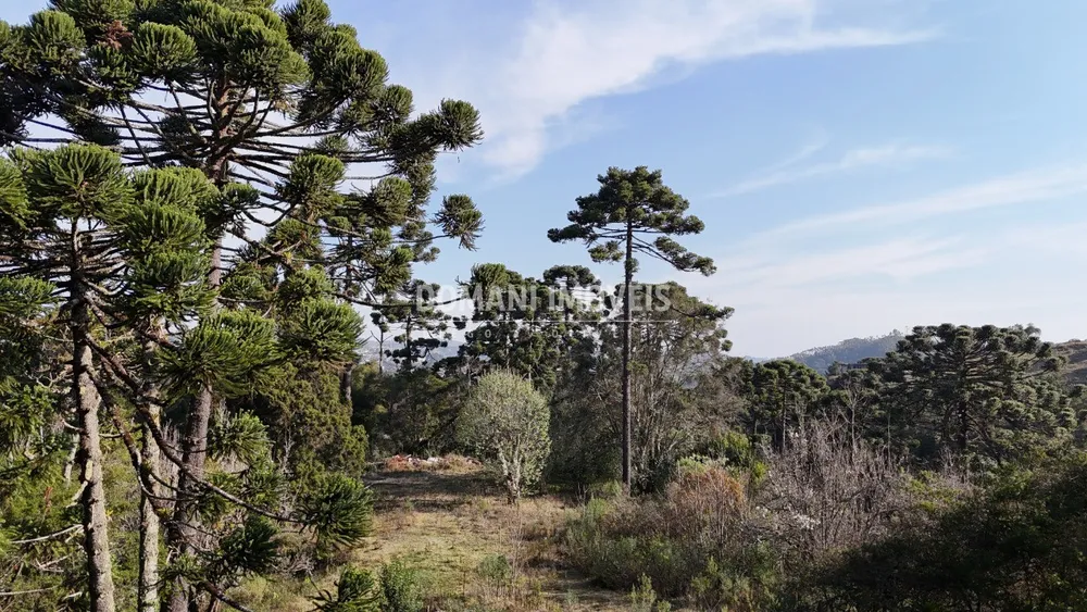 Terreno - Foto 18