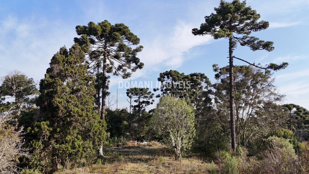 Terreno - Foto 12