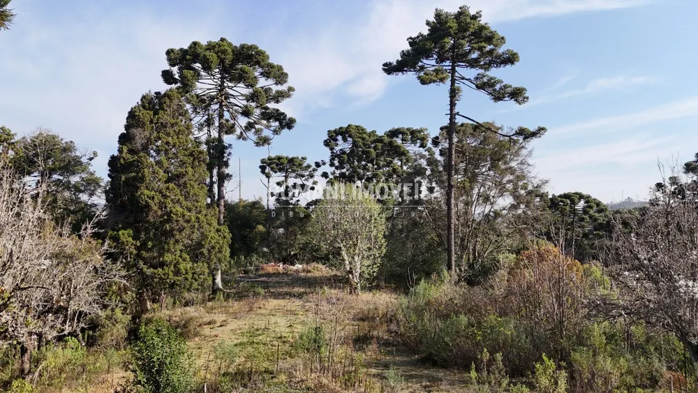 Terreno - Foto 17