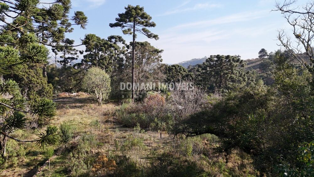 Terreno - Foto 5