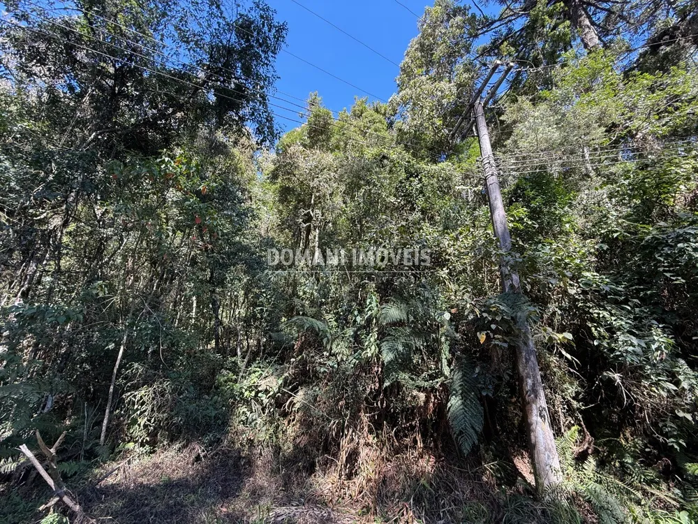 Terreno, 1212 m² - Foto 5