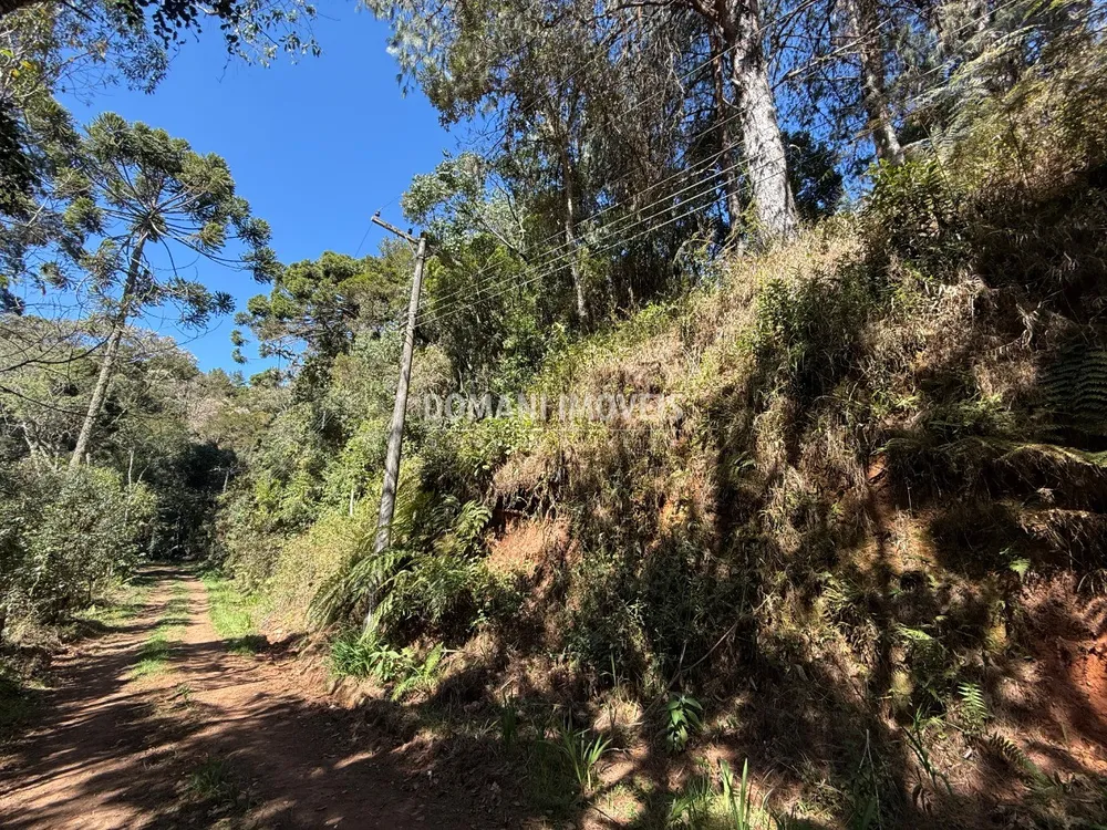 Terreno, 1212 m² - Foto 6