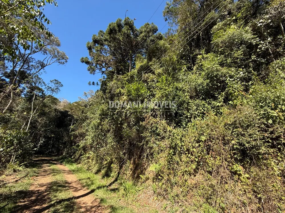 Terreno, 1212 m² - Foto 4