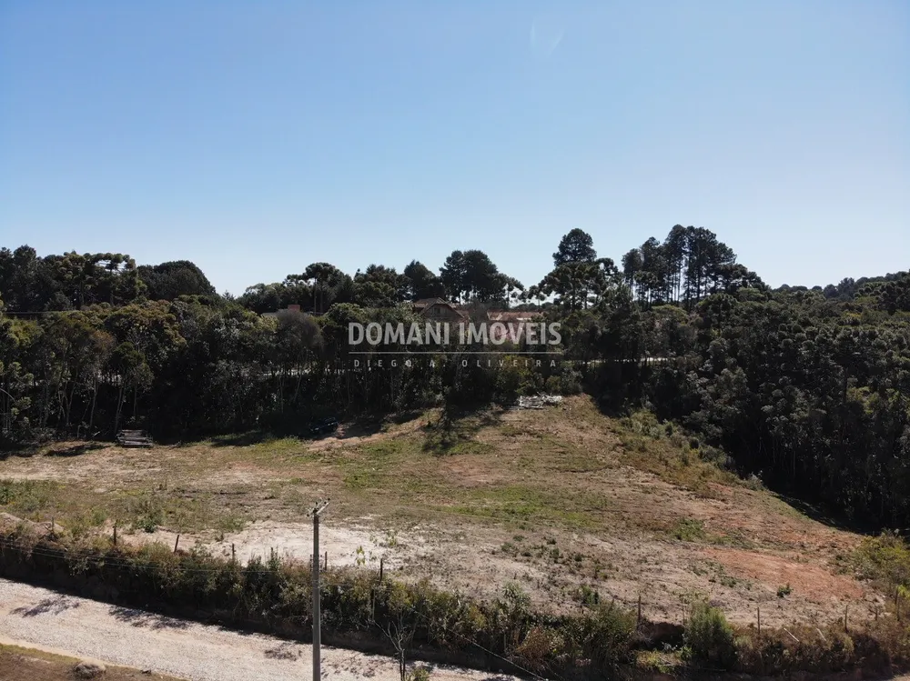 Terreno, 9600 m² - Foto 6