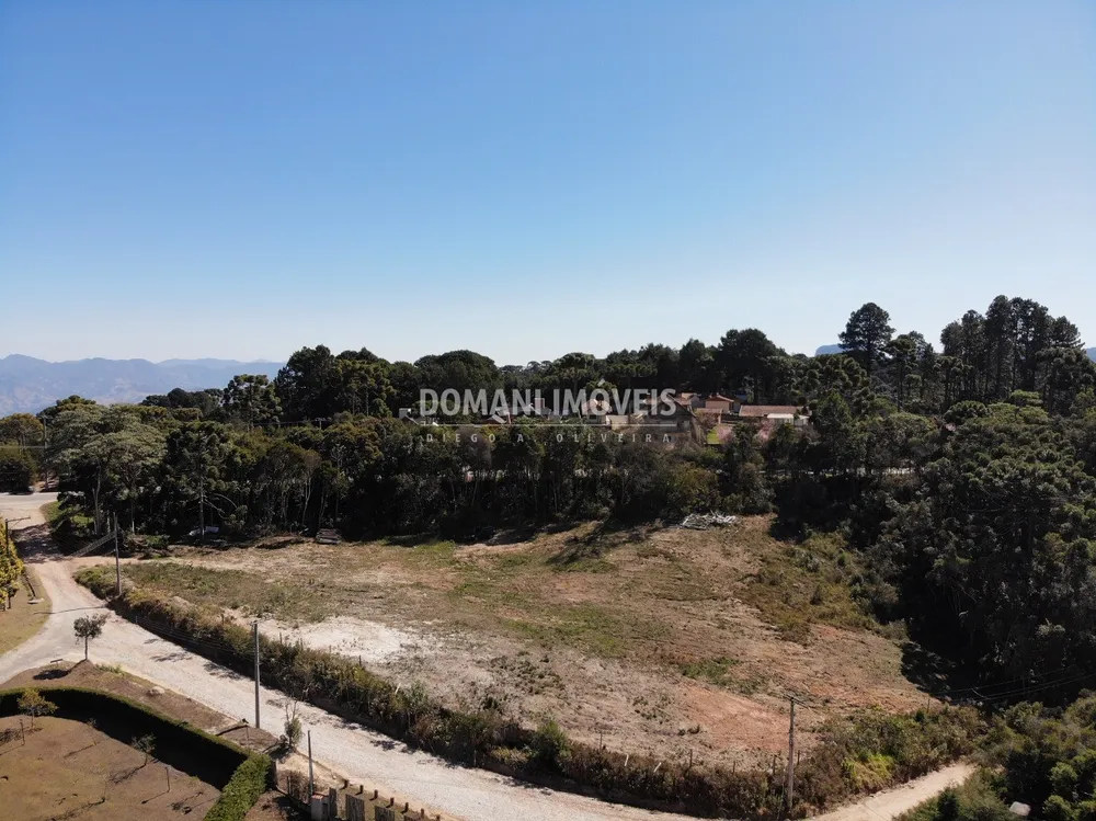 Terreno, 9600 m² - Foto 8