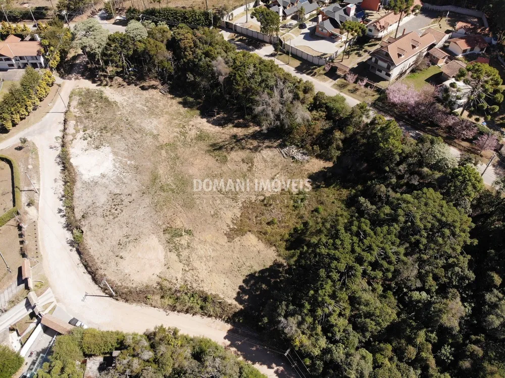 Terreno, 9600 m² - Foto 5