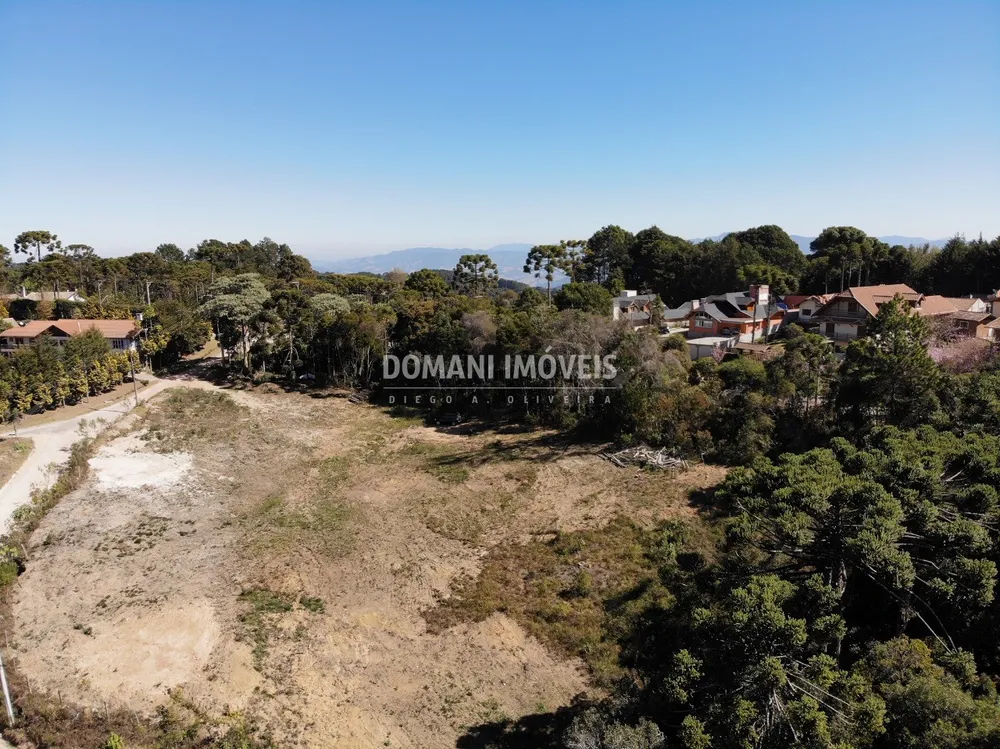 Terreno, 9600 m² - Foto 7