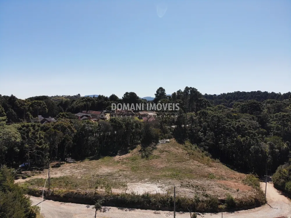 Terreno, 9600 m² - Foto 2