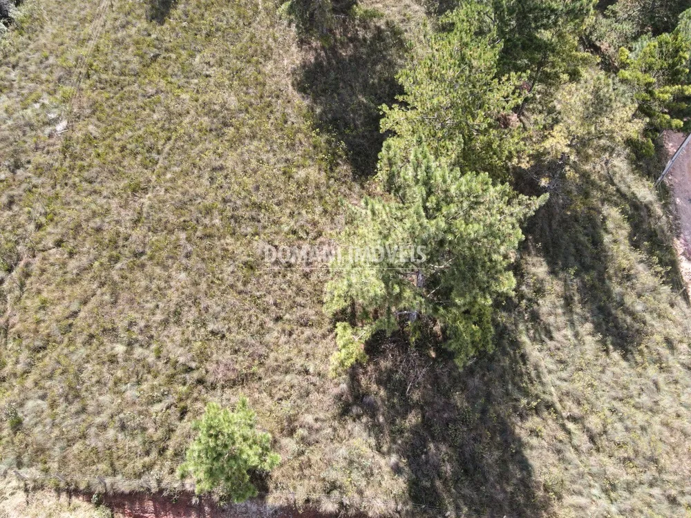 Terreno, 1400 m² - Foto 10