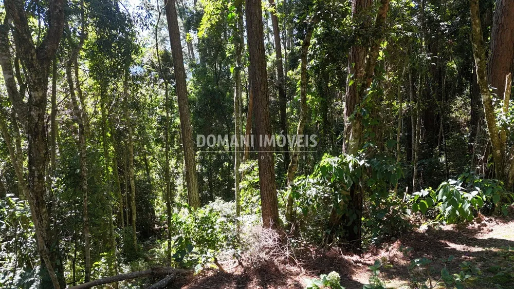 Terreno, 1310 m² - Foto 3