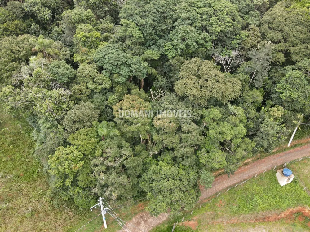 Terreno, 1686 m² - Foto 4