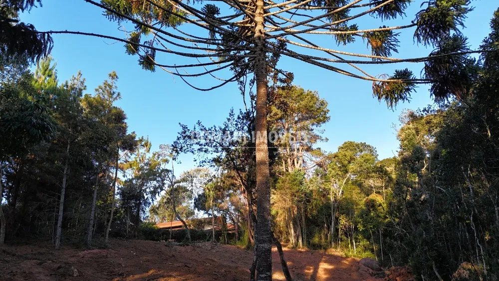 Terreno, 2280 m² - Foto 7