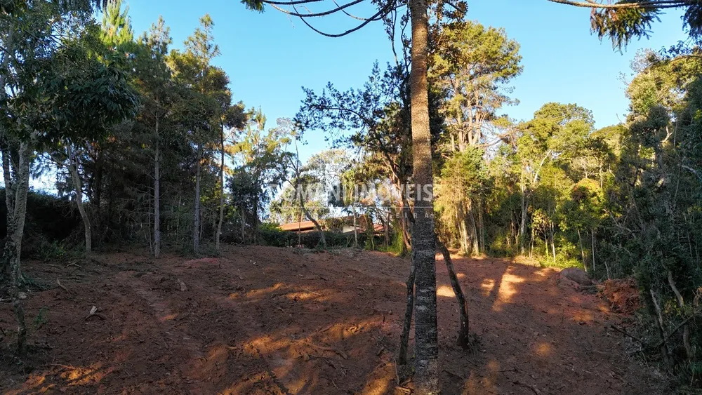 Terreno, 2280 m² - Foto 5