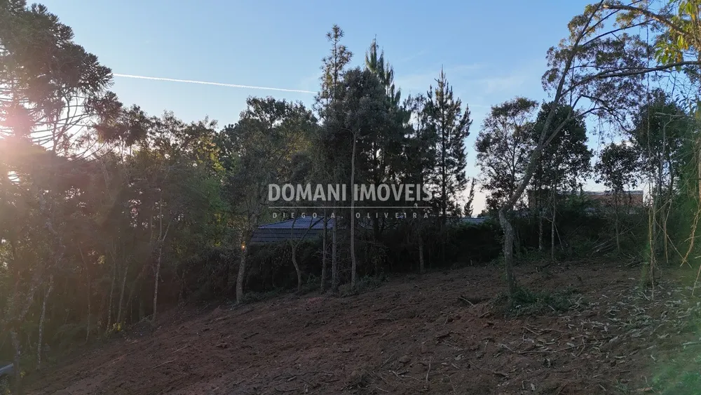 Terreno, 2280 m² - Foto 8
