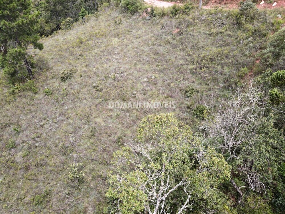Terreno, 1980 m² - Foto 3