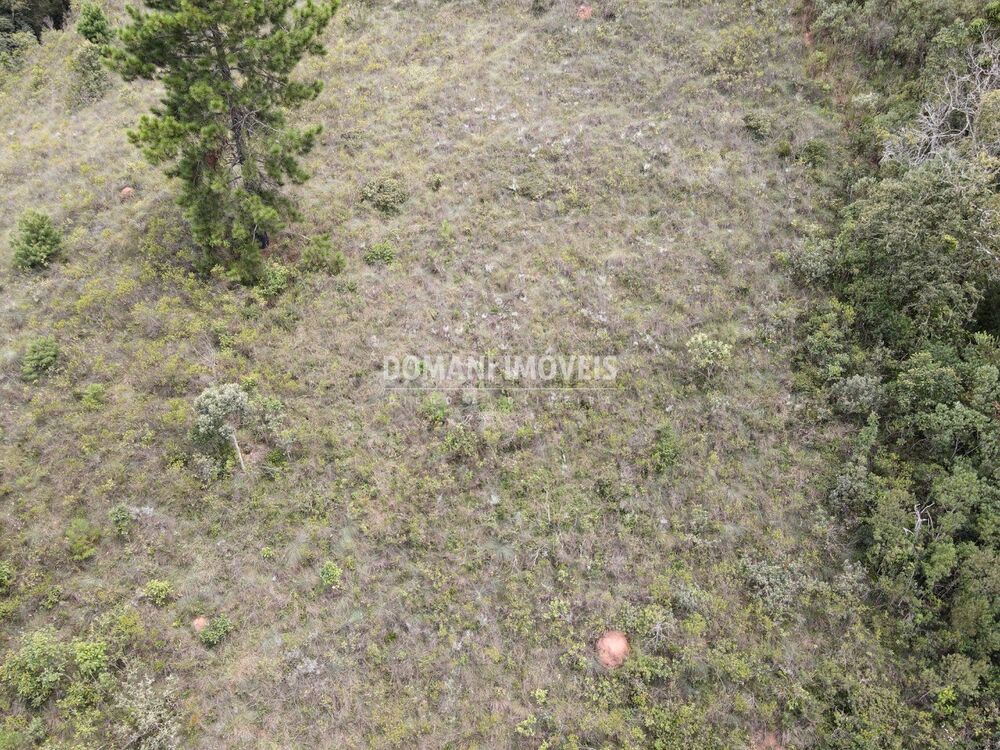 Terreno, 1980 m² - Foto 4
