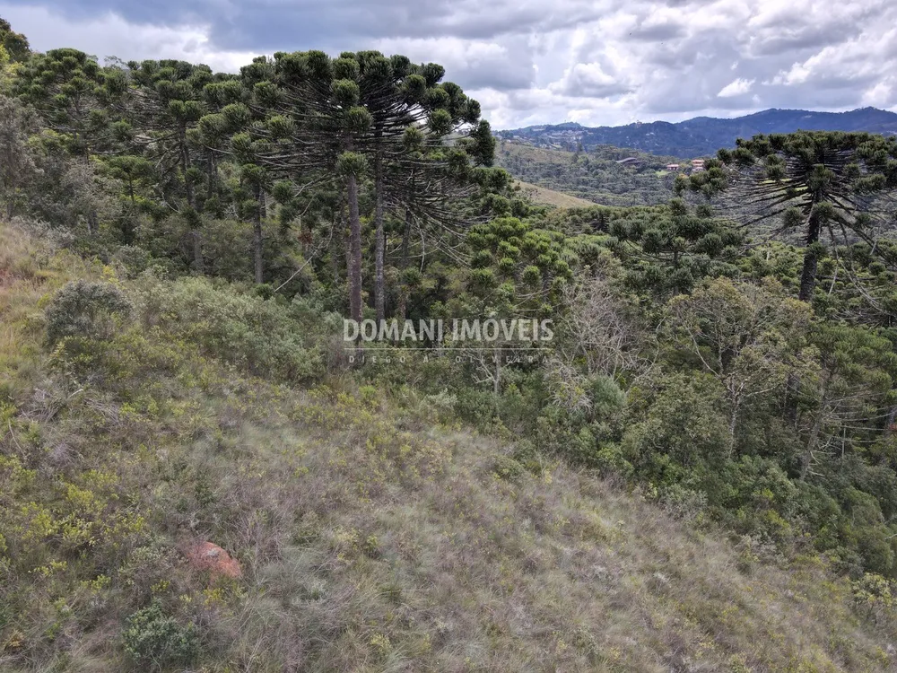 Terreno, 1980 m² - Foto 11