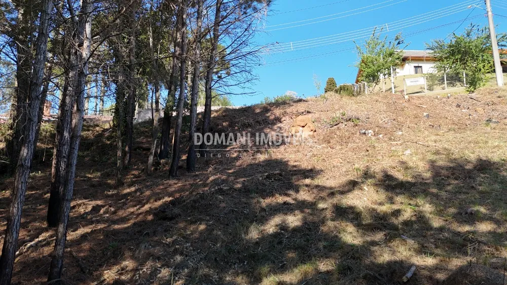 Terreno, 1050 m² - Foto 8