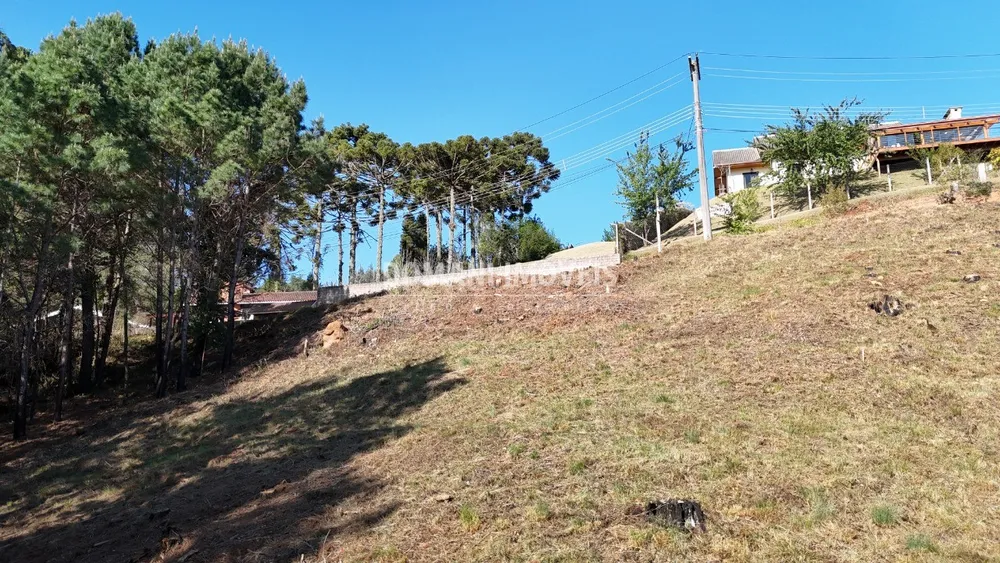Terreno, 1050 m² - Foto 5