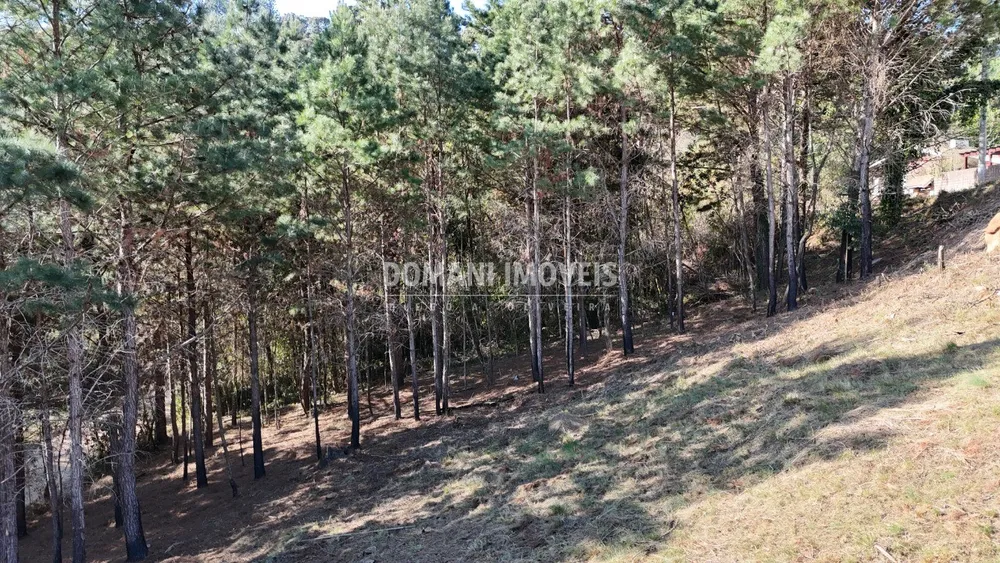 Terreno, 1050 m² - Foto 2