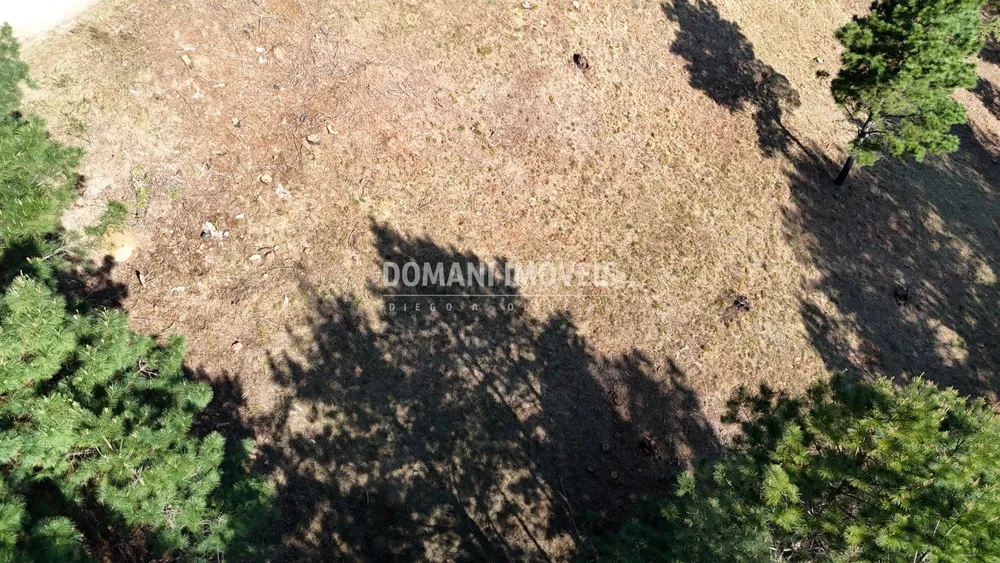 Terreno, 1050 m² - Foto 7