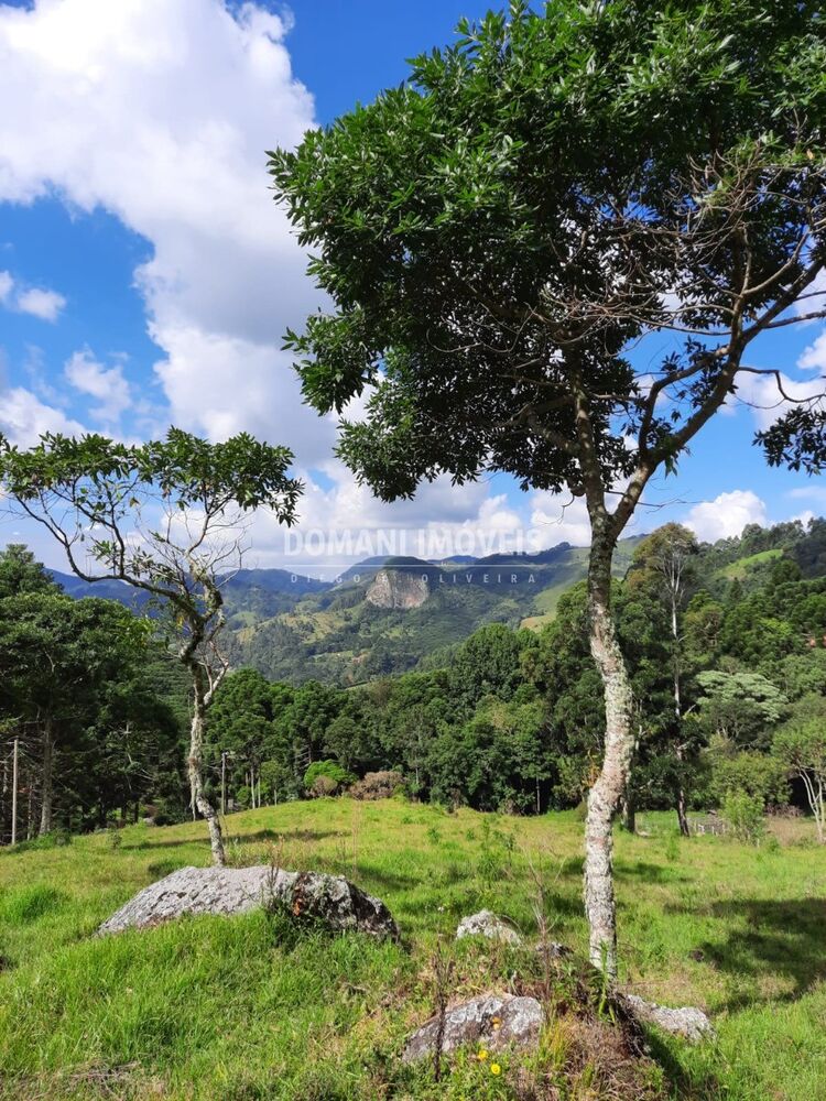 Sítio à venda - Foto 1