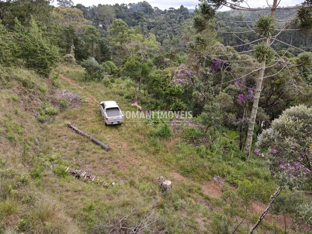 Terreno, 2000 m² - Foto 4