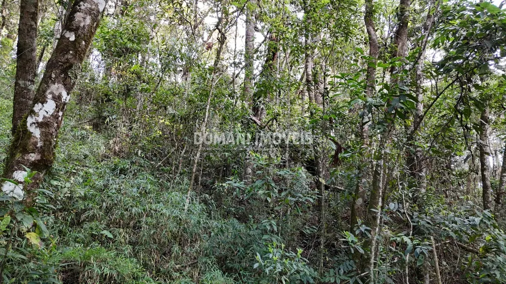 Terreno, 1040 m² - Foto 1