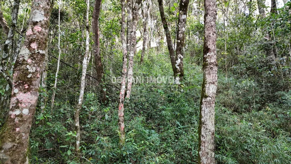 Terreno, 1040 m² - Foto 7