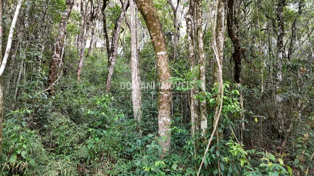 Terreno, 1040 m² - Foto 6